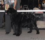 Превью фото № 54664