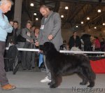 Превью фото № 54676