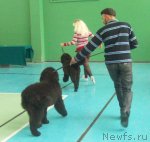 Превью фото № 54809