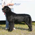 Превью фото № 5483