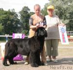 Превью фото № 5485