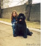 Превью фото № 549