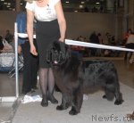 Превью фото № 54992