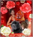 Превью фото № 55301