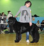 Превью фото № 55415