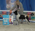 Превью фото № 55826