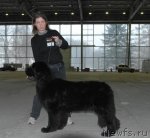 Превью фото № 55832