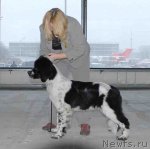 Превью фото № 55848