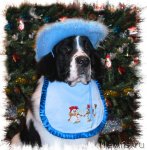 Превью фото № 55902