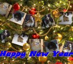 Превью фото № 55967