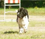 Превью фото № 5597