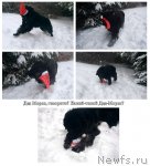 Превью фото № 55999