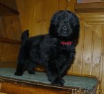 Превью фото № 56034