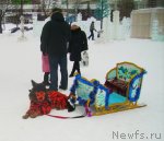 Превью фото № 56144