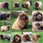 Превью фото № 56194