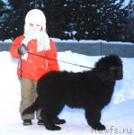 Превью фото № 56234