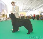 Превью фото № 5633