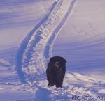 Превью фото № 56488