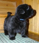 Превью фото № 56542