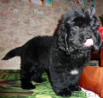 Превью фото № 56707