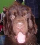 Превью фото № 56939