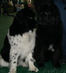 Превью фото № 57047