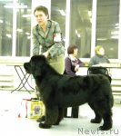 Превью фото № 57447