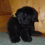 Превью фото № 57481