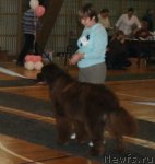 Превью фото № 57556