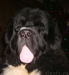 Превью фото № 57616