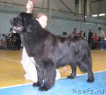 Превью фото № 5794