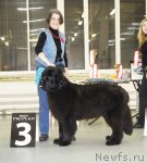 Превью фото № 57954