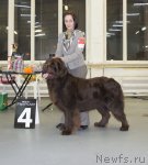 Превью фото № 57958