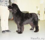 Превью фото № 57966