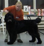 Превью фото № 57987