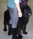 Превью фото № 57988