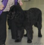 Превью фото № 57990