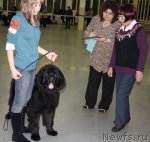 Превью фото № 57992