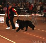 Превью фото № 58046