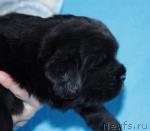 Превью фото № 5836