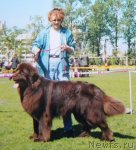 Превью фото № 58500