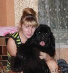 Превью фото № 58504