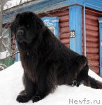 Превью фото № 58571