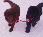 Превью фото № 58747