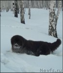 Превью фото № 58761