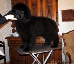 Превью фото № 58813