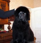 Превью фото № 58814