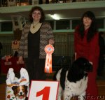 Превью фото № 58825