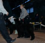 Превью фото № 58831