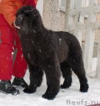 Превью фото № 58839